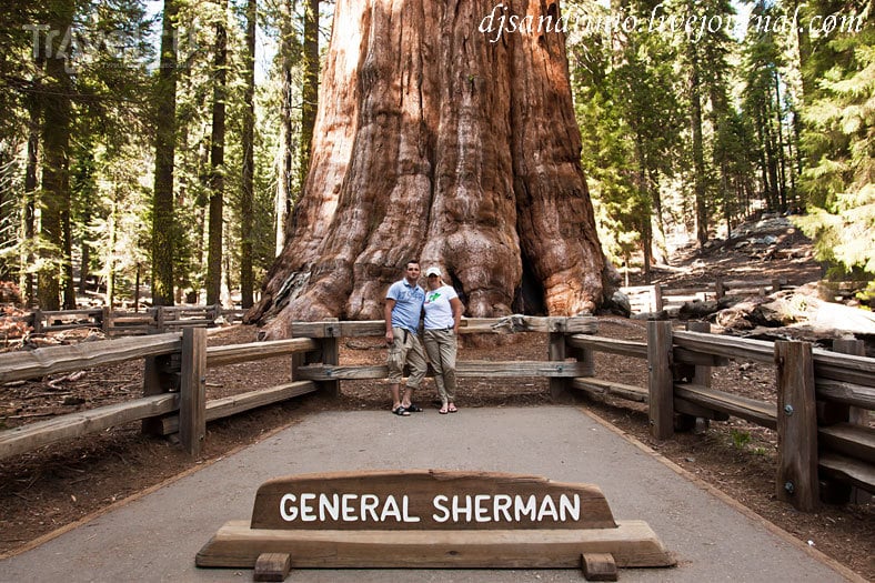 Sequoia National Park / США