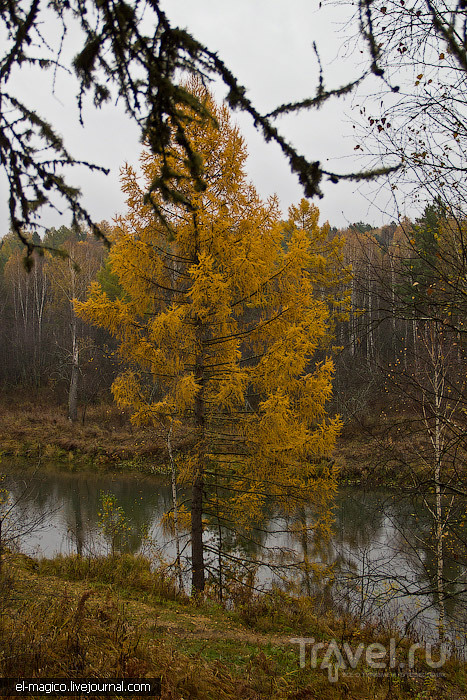 Природный парк Оленьи ручьи - граница тайги и лесостепи возле Екатеринбурга / Россия