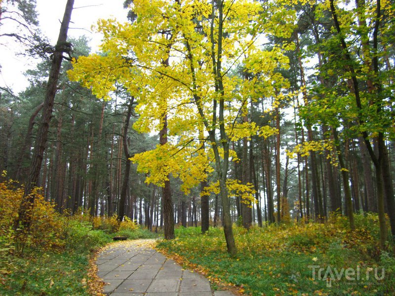 Rīga un Jūrmala / Латвия