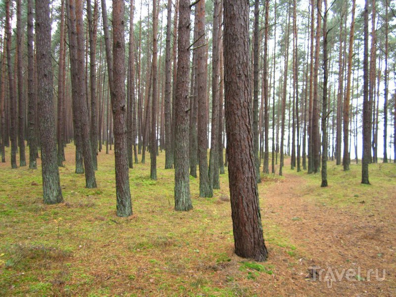 Rīga un Jūrmala / Латвия