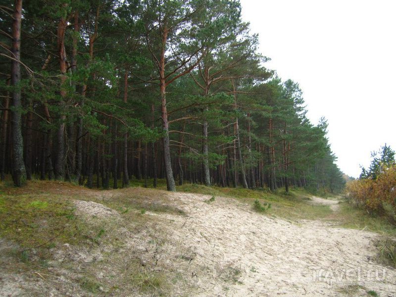 Rīga un Jūrmala / Латвия