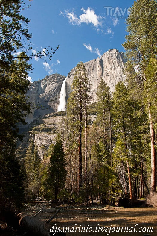 Yosemite National Park / 