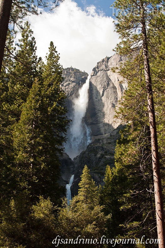 Yosemite National Park / 