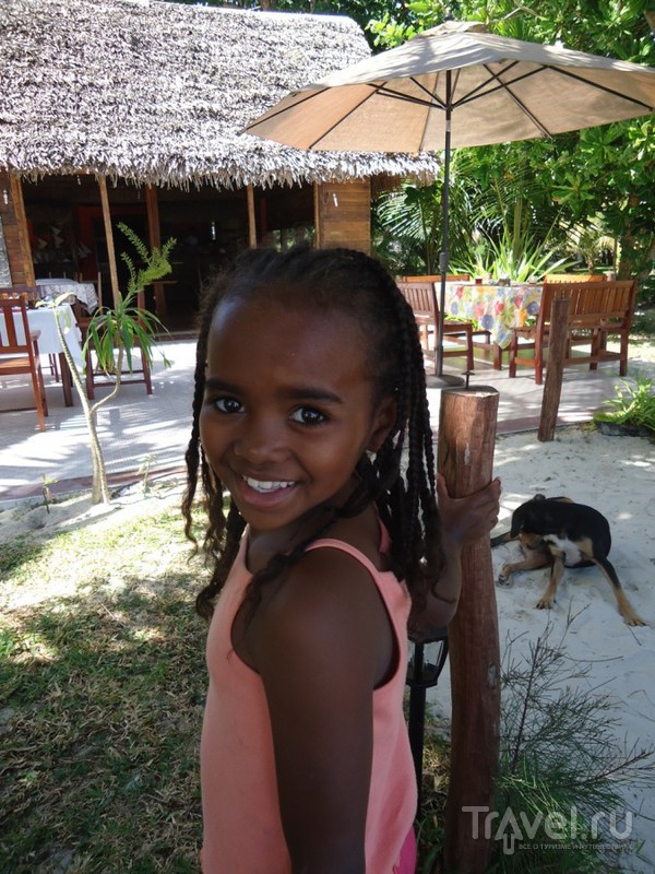 Дети Мадагаскара / Мадагаскар