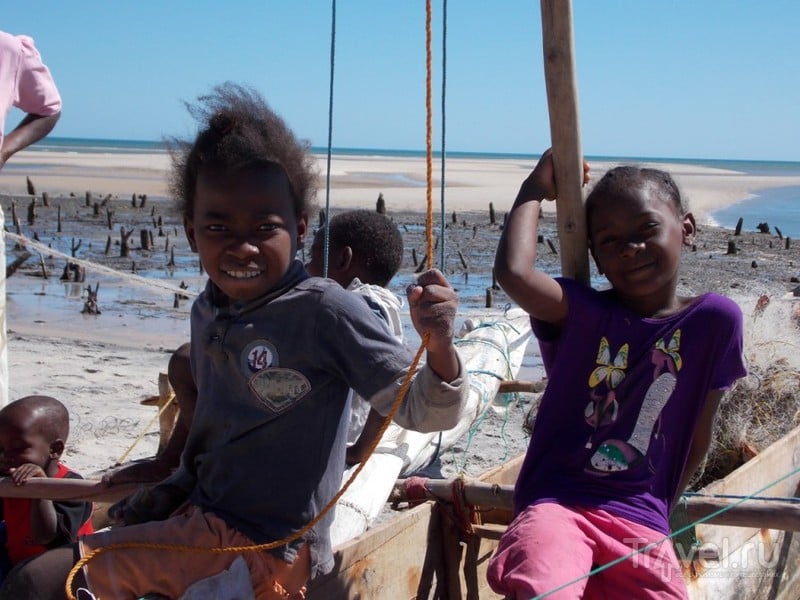 Дети Мадагаскара / Мадагаскар