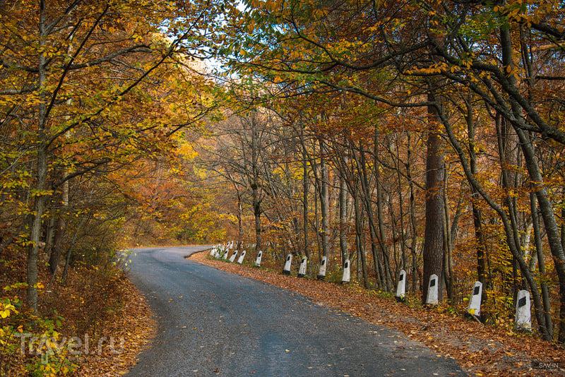 Осень в горах Украины. Крым / Украина