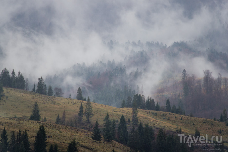 Карпаты в ноябре, или у природы нет плохой погоды / Фото с Украины