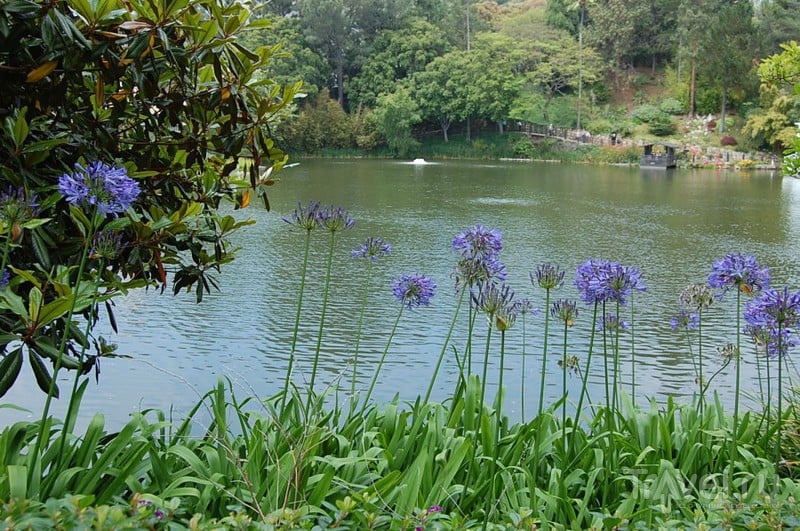Lake shrine. Meditation gardens / Фото из США