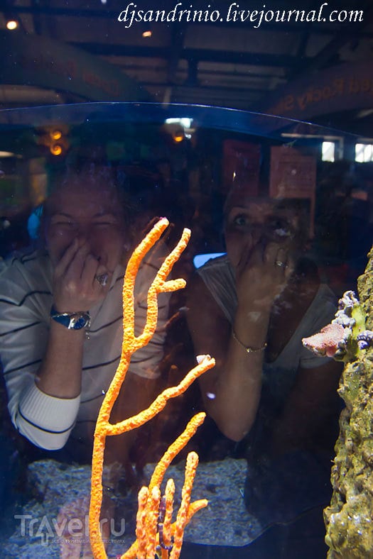 Monterey Bay Aquarium, CA / 