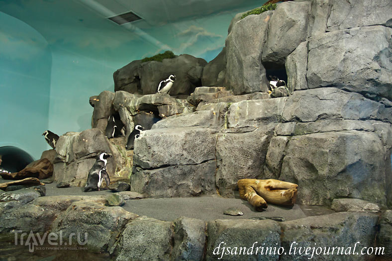 Monterey Bay Aquarium, CA / США