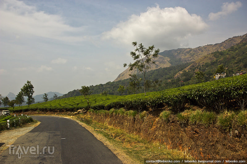Индия. Керала. Часть 3. Горы Гхат, Муннар и чайные плантации / Индия