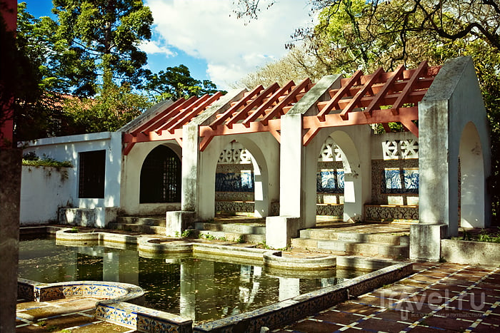 Jardim Botanico Tropical.  /   