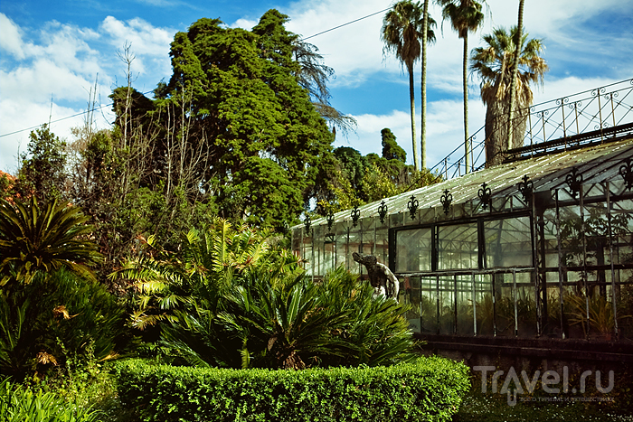 Jardim Botanico Tropical.  /   