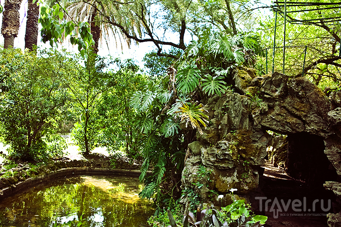 Jardim Botanico Tropical. Белен / Фото из Португалии