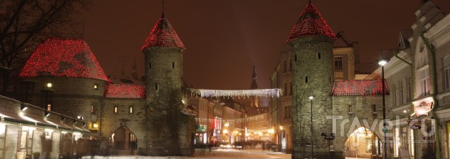 Таллин в Новогодние праздники / Эстония