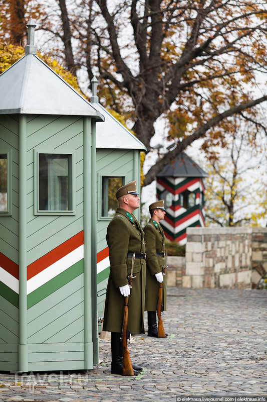 Будапешт. День 1 / Фото из Венгрии