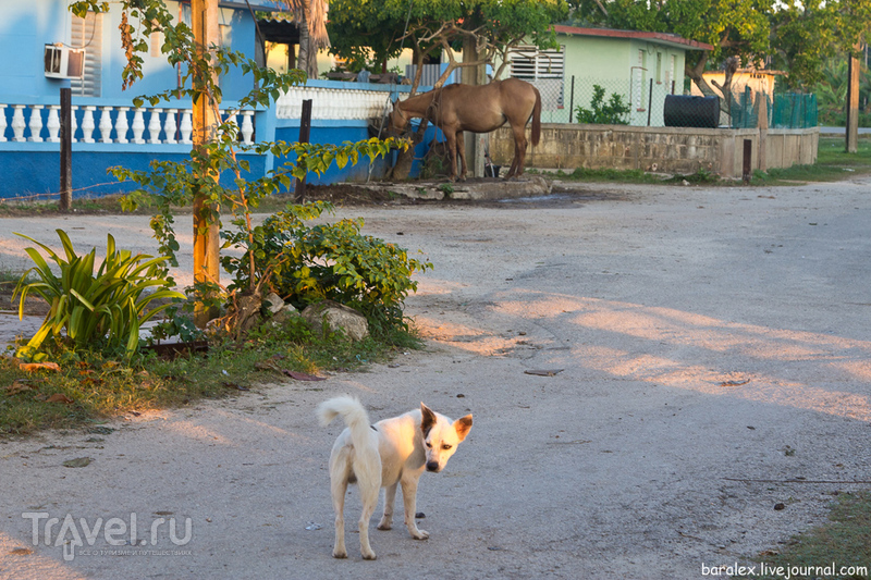 Автопрогулка по Кубе / Фото с Кубы