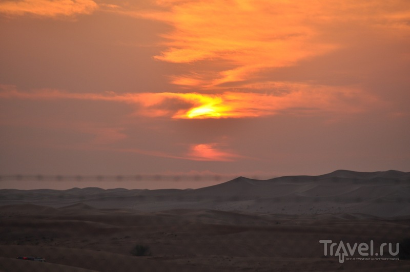 Пустынное сафари в Эмиратах / ОАЭ