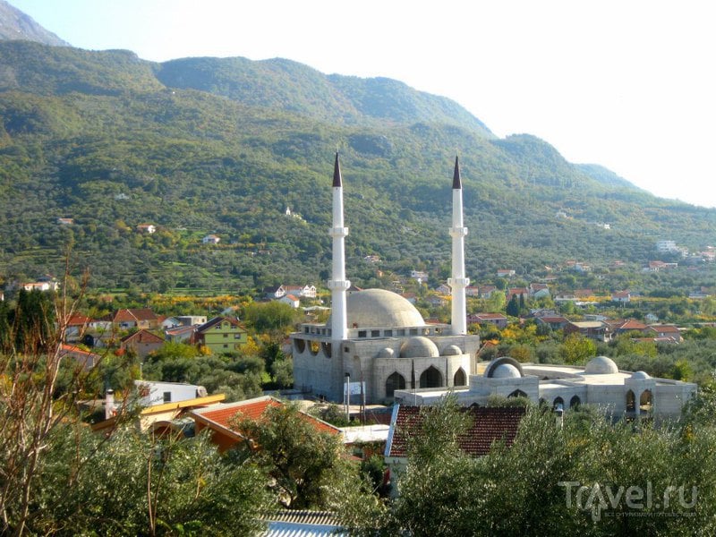 Праздник "Маслиниада" в Черногории / Черногория