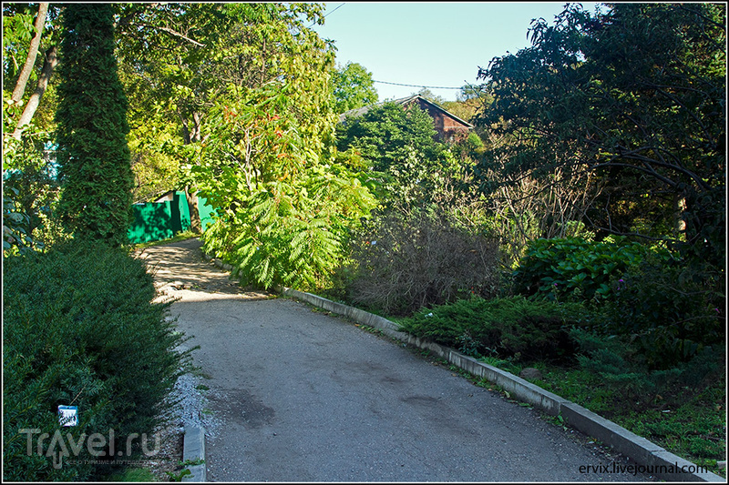 Ботанический сад Владивостока / Фото из России