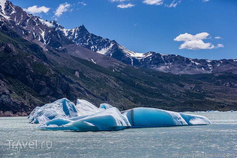 Ледник Вьедма / Фото из Аргентины