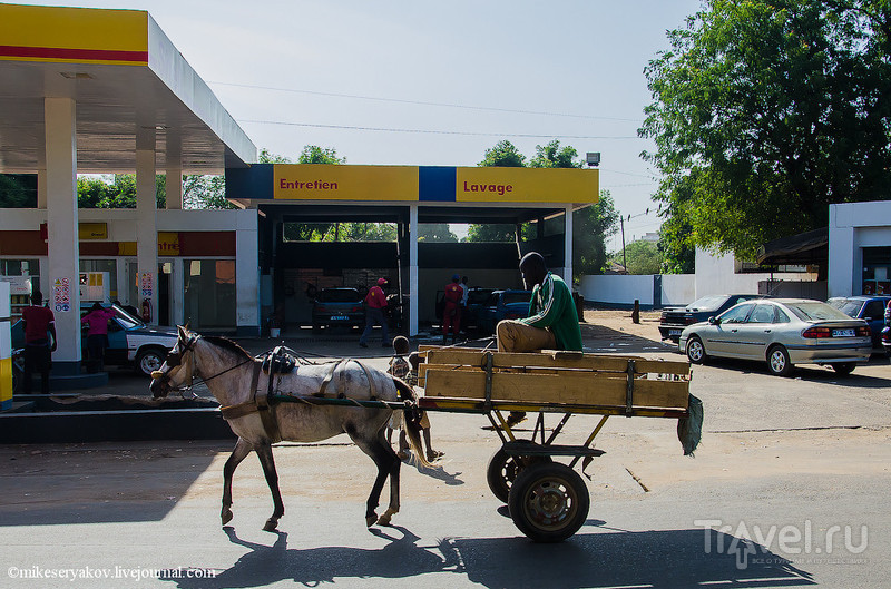 Сенегал. Сен-Луи - столица Западной Африки / Фото из Сенегала