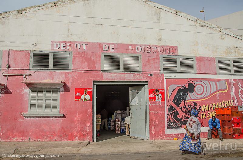 Сенегал. Орнитологический парк Джудж / Фото из Сенегала