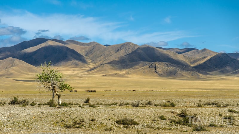 В поисках шамана: Часть 4, Северная Монголия / Монголия