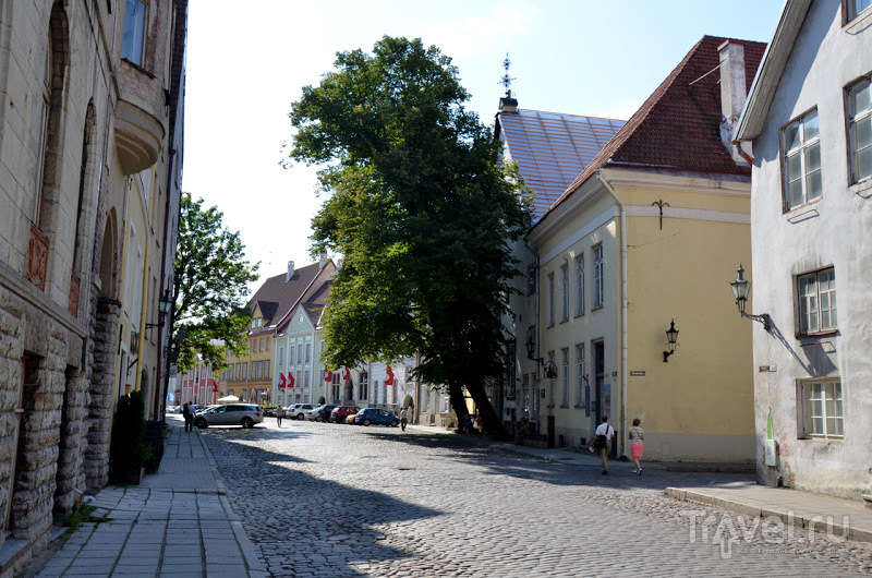 Старый Таллин, Эстония / Эстония