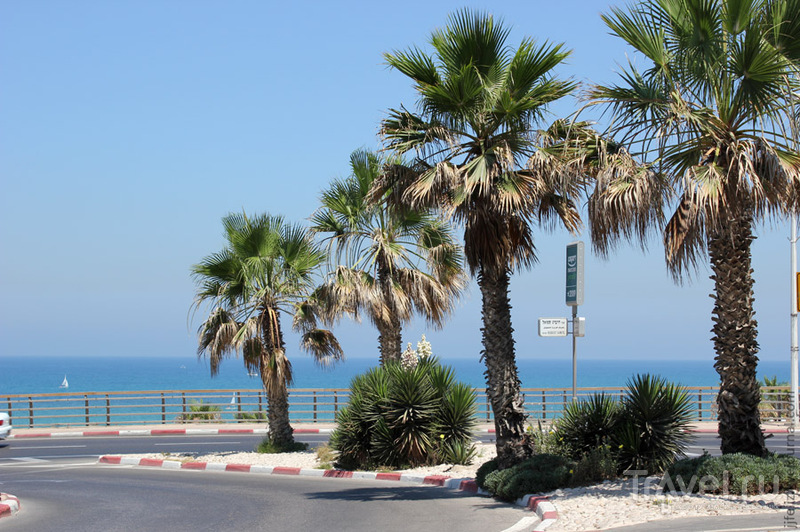 Прогулка вдоль моря / Израиль
