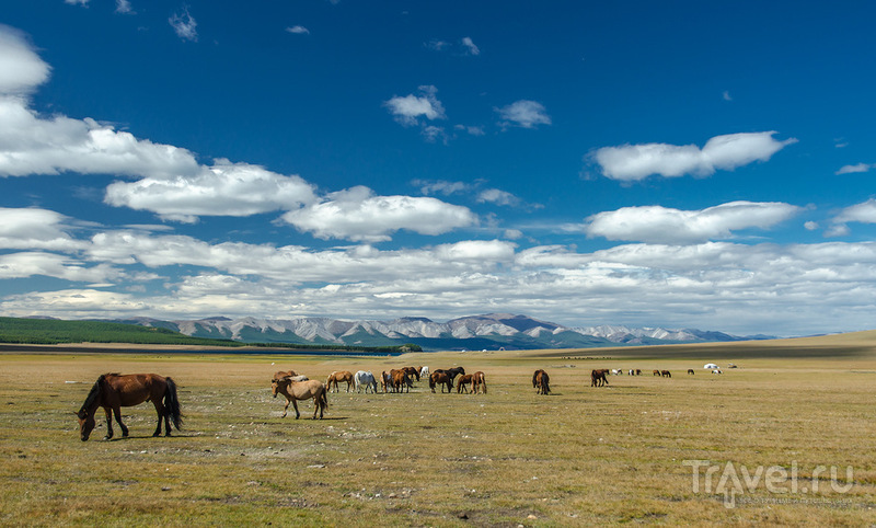В поисках шамана. Часть 5, Монголия: Хубсугул / Монголия