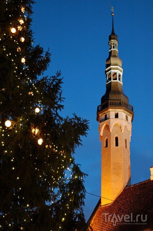 Сказочный рождественский Таллин / Эстония