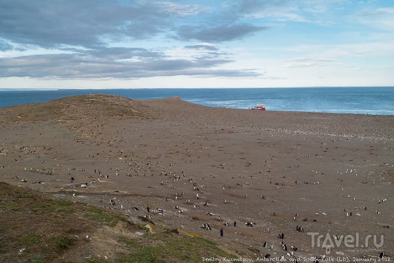 Антарктический дневник - на Большую Землю, про пингвинов, Сантьяго, эпилог / Антарктика
