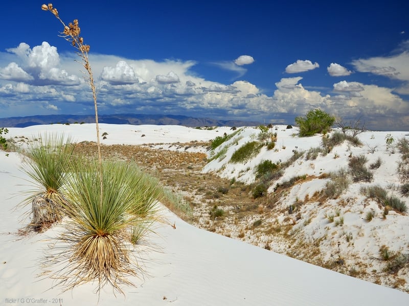 Пески занимают площадь более 580 квадратных километров, Нью-Мексико / США