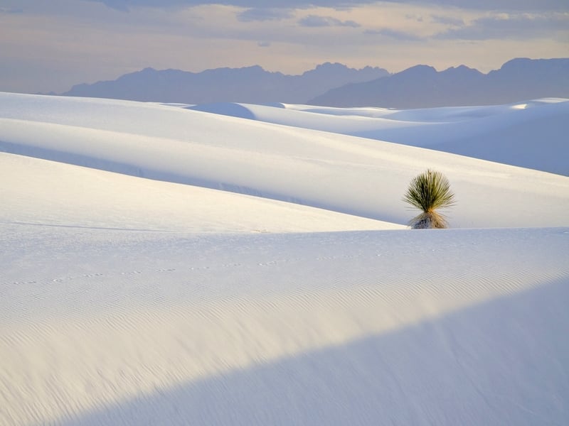 Белые пески парка напоминают заснеженные ландшафты Аляски / США