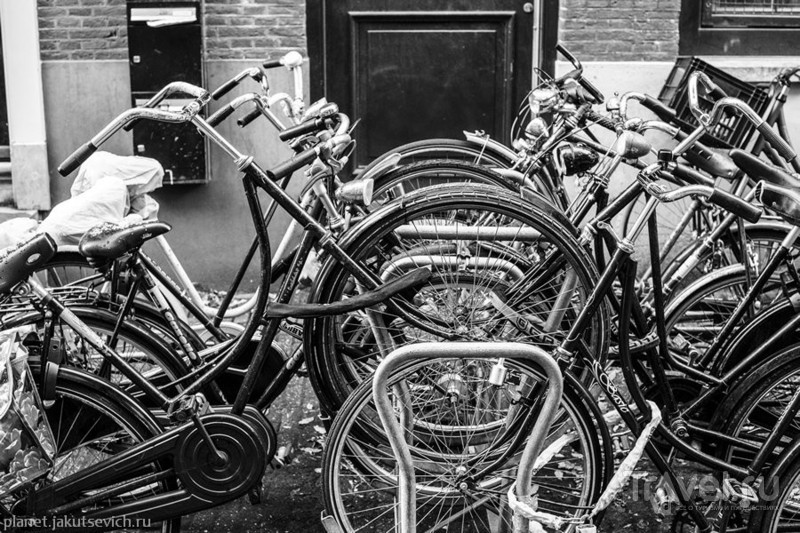 Амстердам - один день в городе греха и свободы без наркотиков / Фото из Нидерландов