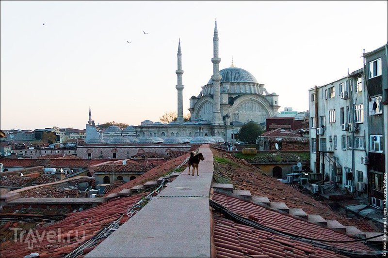 Запретный Стамбул / Фото из Турции
