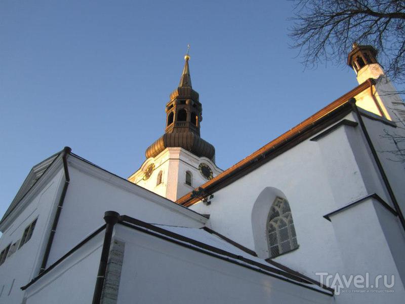 Домский собор в Таллине / Фото из Эстонии