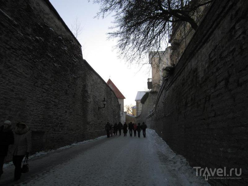 Улица Длинная нога (Pikk Jalg) в Таллине / Фото из Эстонии