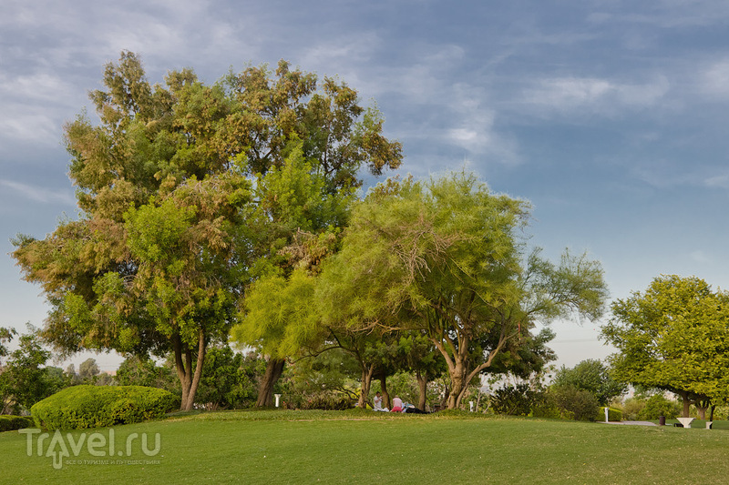 Creekside Park в Дубае и его обитатели / ОАЭ