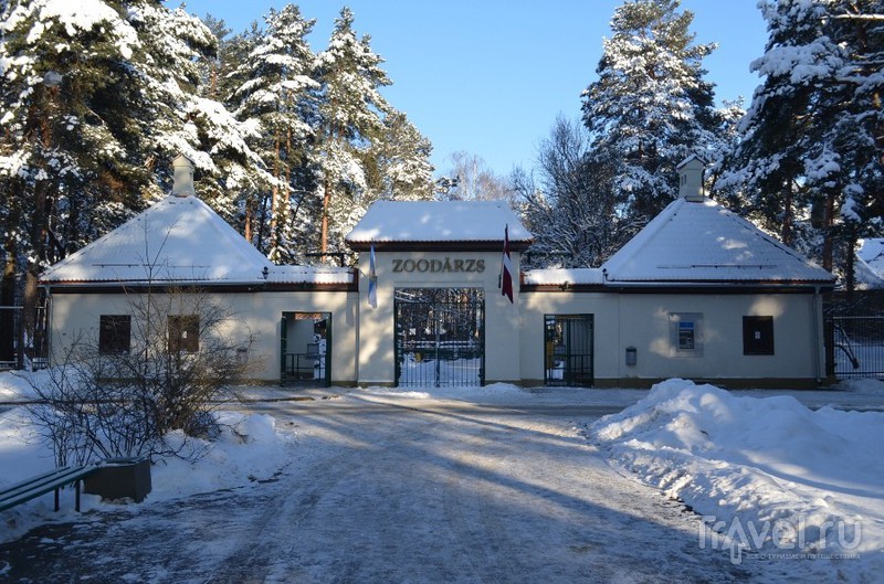 Рига. Район Mežaparks / Латвия