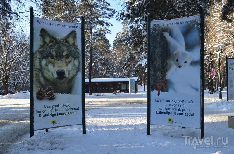 Рига. Район Mežaparks / Латвия