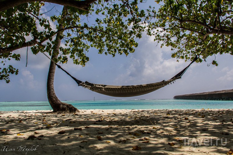 Мальдивы. Рай / Фото с Мальдив