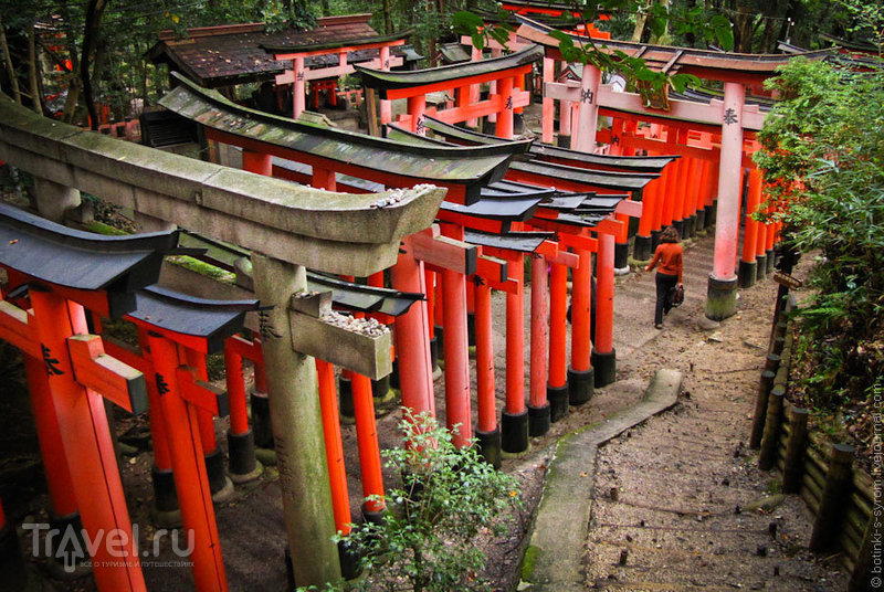 Дорога из красных ворот / Фото из Японии