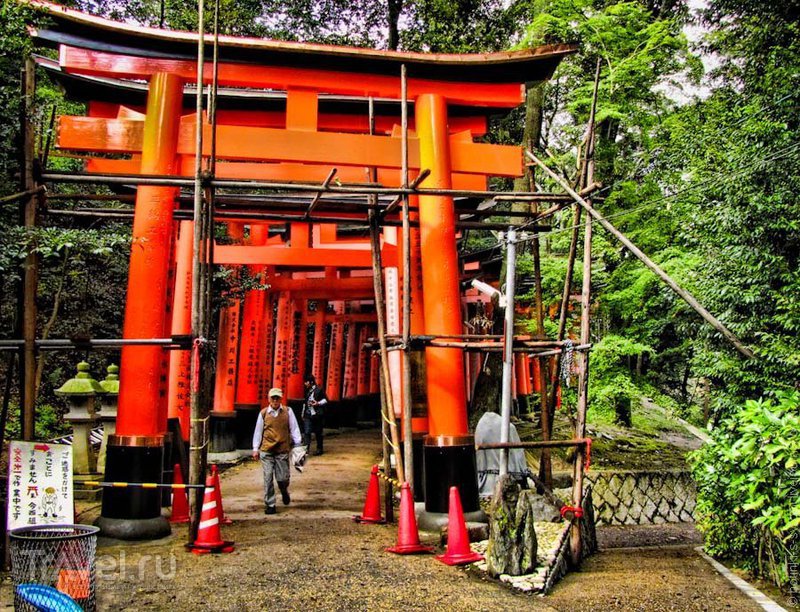 Дорога из красных ворот / Фото из Японии