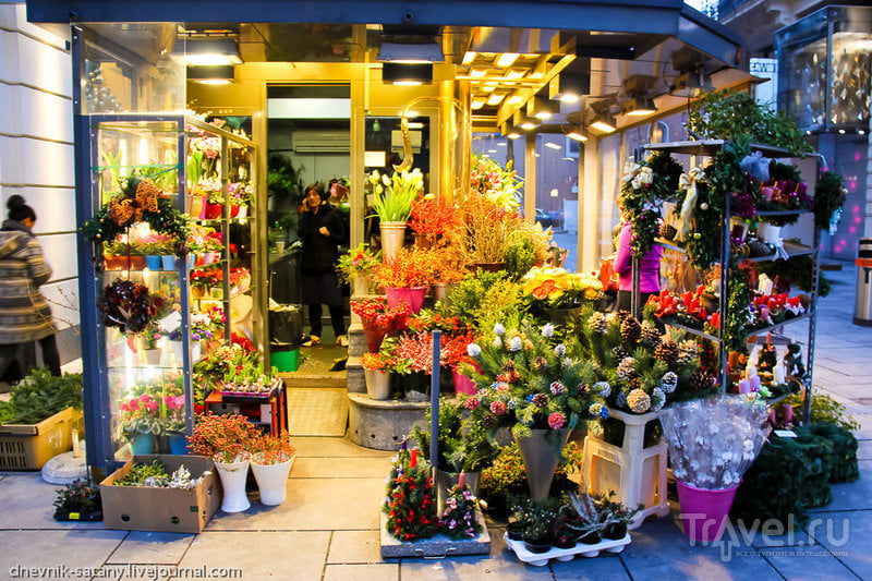 Прогулки по Вене: витрины и магазины / Фото из Австрии