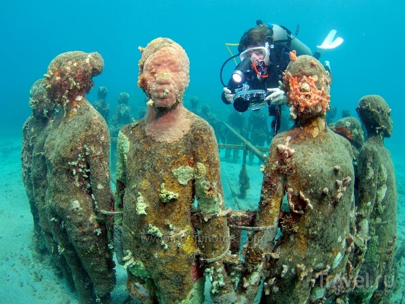 The Underwater Sculpture Park -  ,      / 