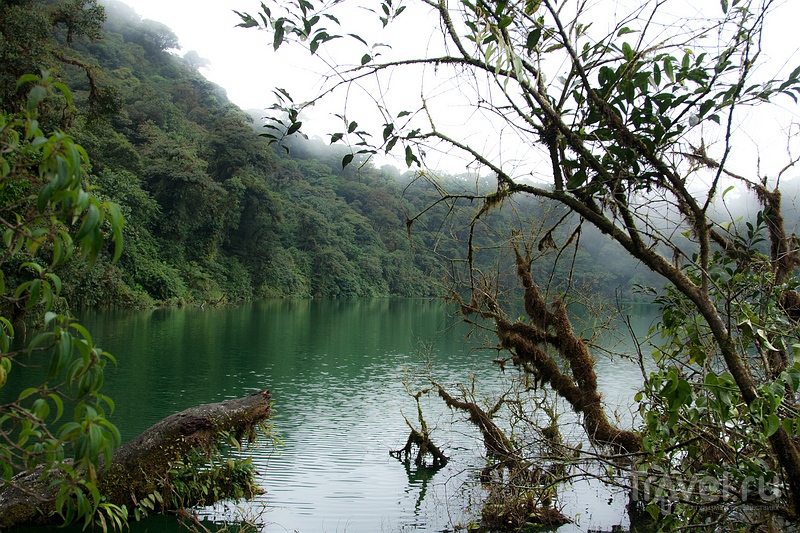 Путешествие по туманной Коста-Рике / Фото из Коста-Рики