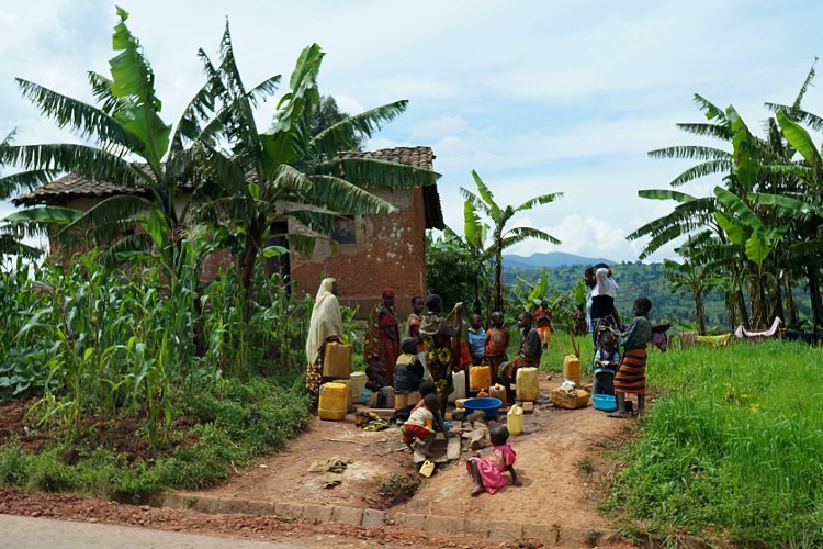 Русская шуба из Бурунди / Фото из Бурунди