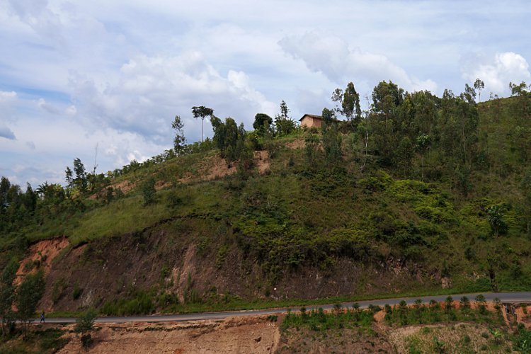 Русская шуба из Бурунди / Фото из Бурунди